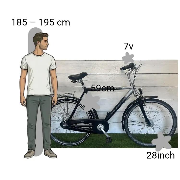 Bicicleta usada Sparta Pallas 2/4