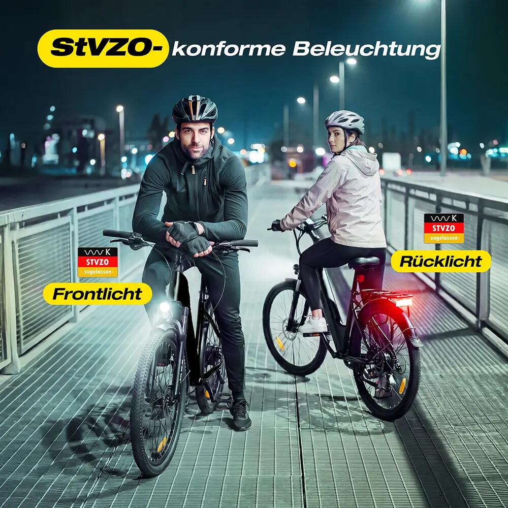 Bici elettrica ESKUTE C202 Motore 250W Batteria 48V 17,5Ah Pneumatici 26" 9/10