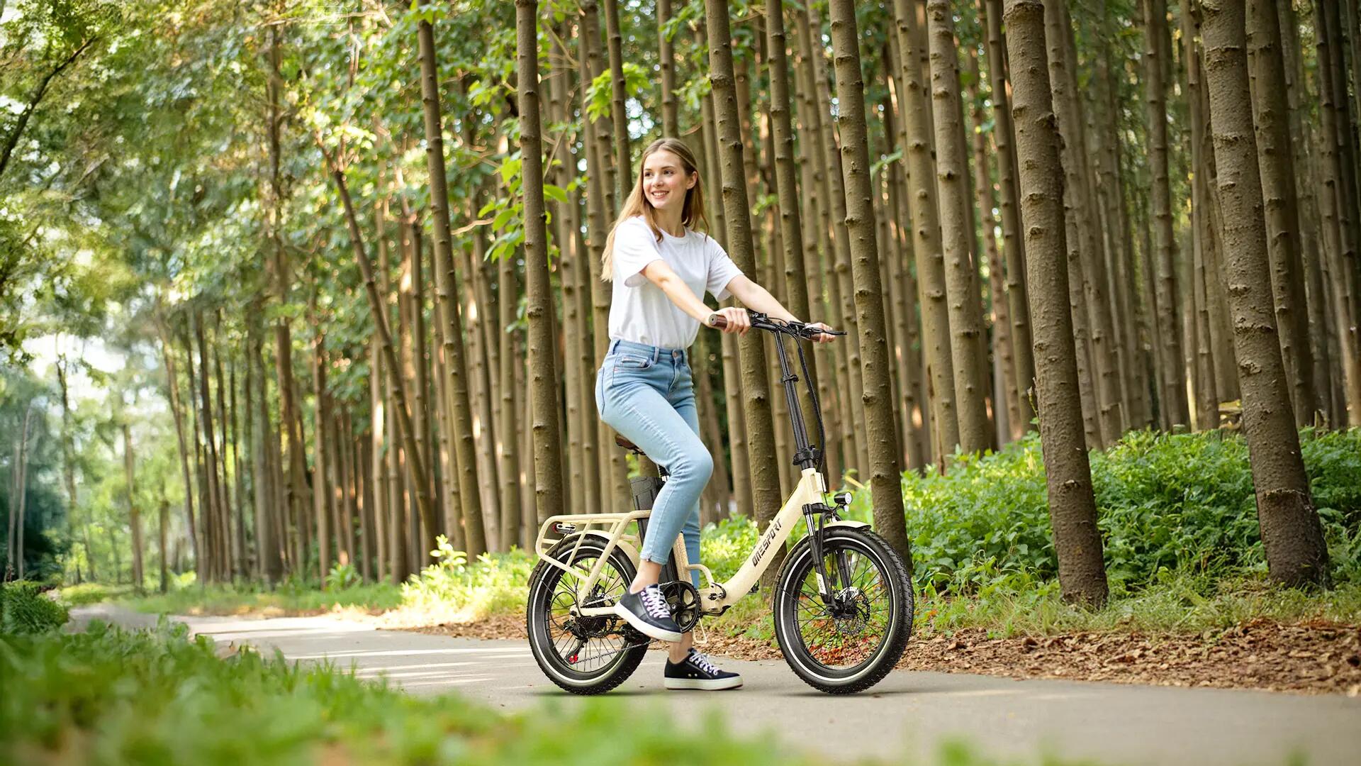 Bicicletta a pedalata assistita per adulti OT16 Pro, pneumatici 20", 48V17Ah 14/15