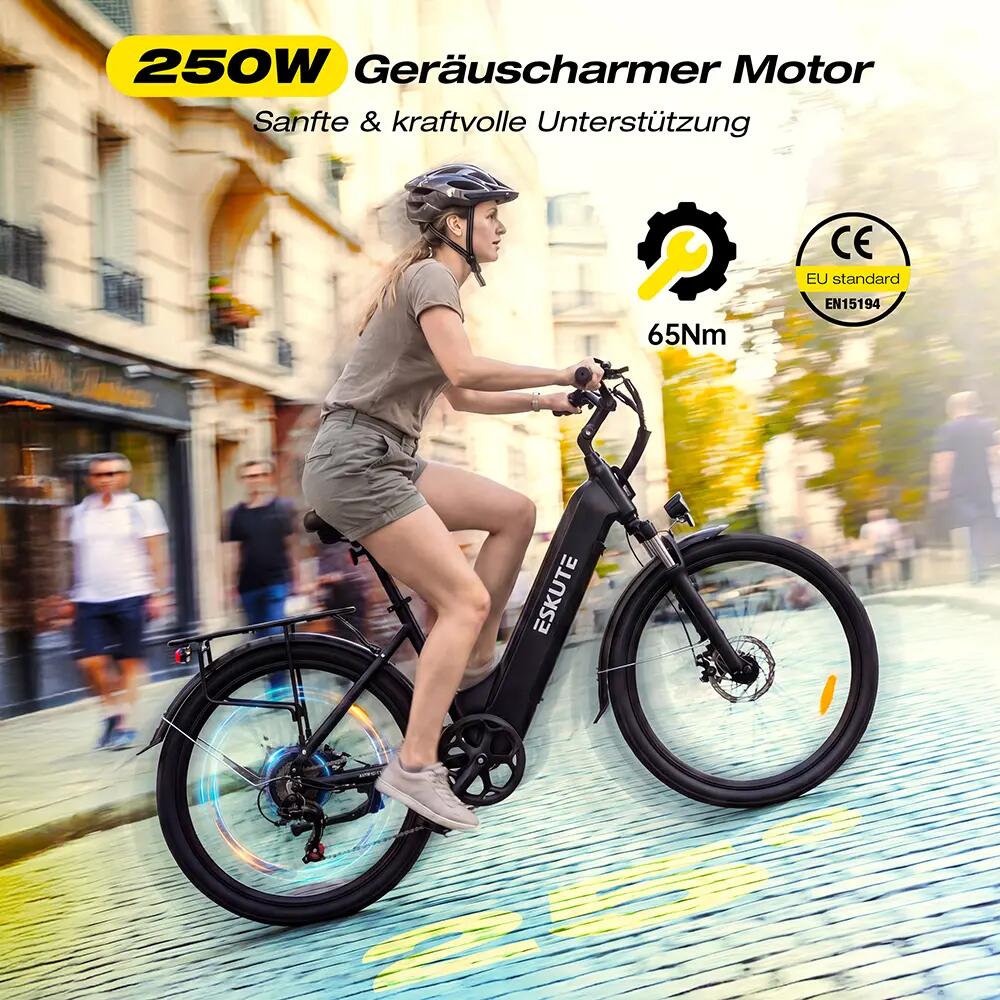 Bici elettrica ESKUTE C202 Motore 250W Batteria 48V 17,5Ah Pneumatici 26" 5/10