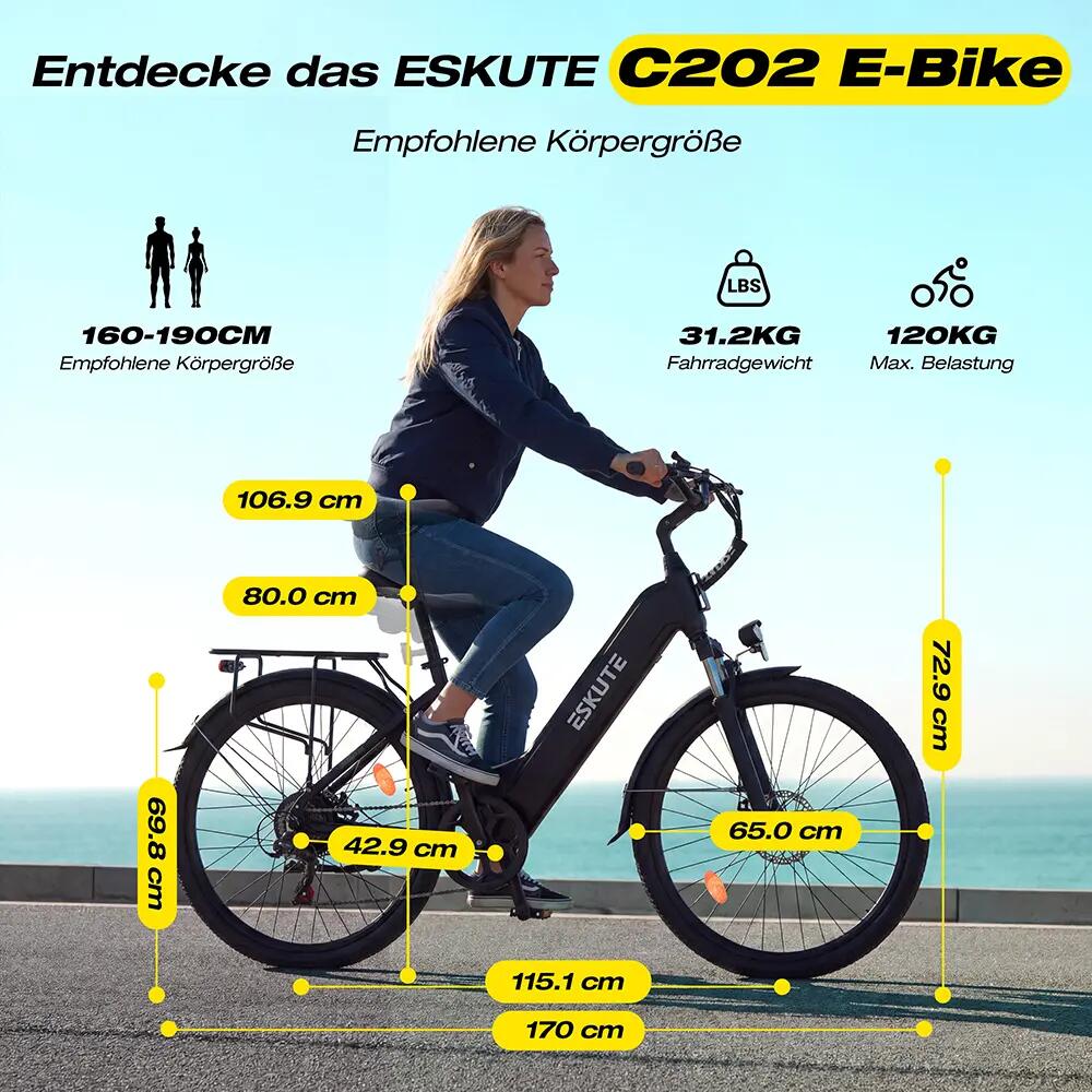 Bici elettrica ESKUTE C202 Motore 250W Batteria 48V 17,5Ah Pneumatici 26" 10/10