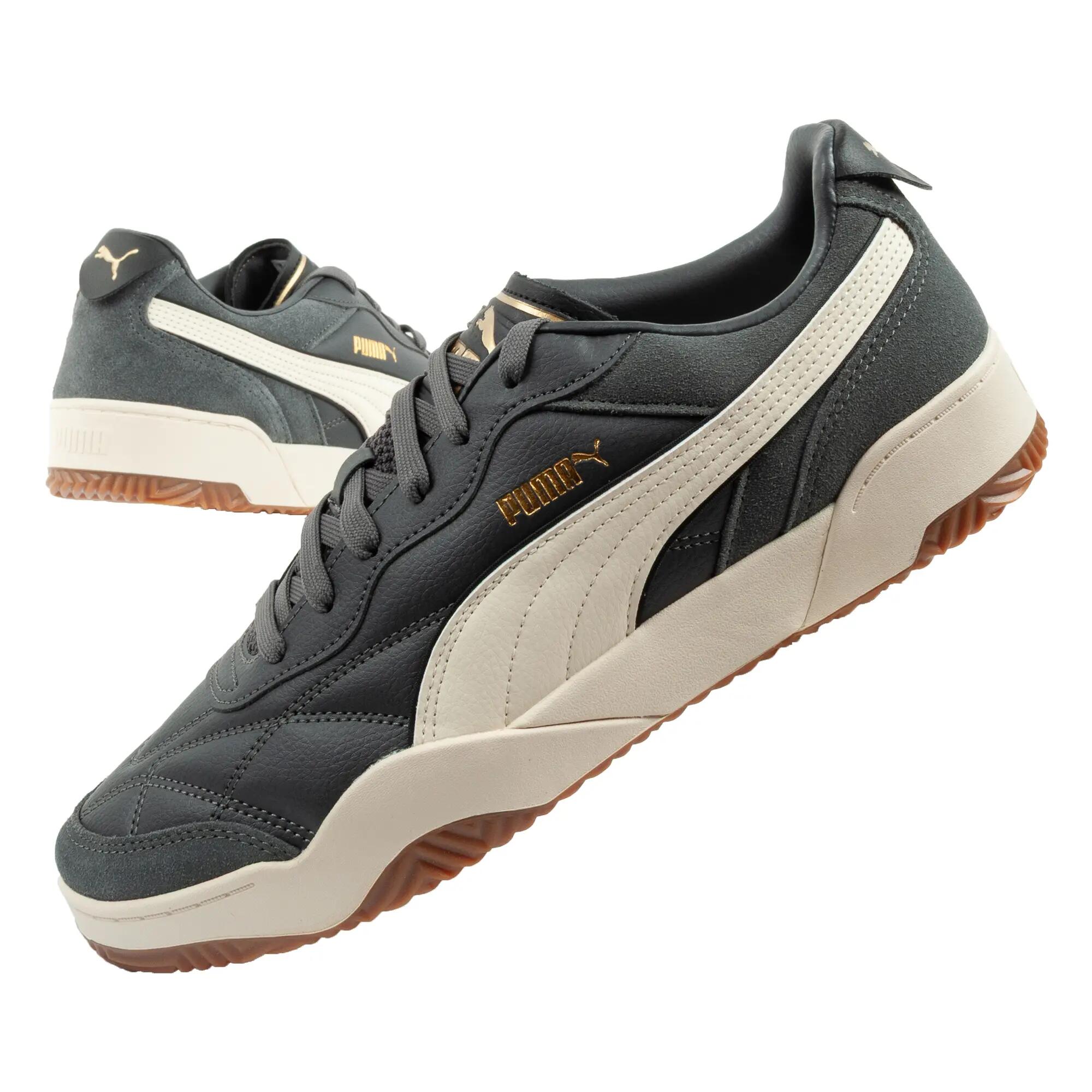 PUMA picture