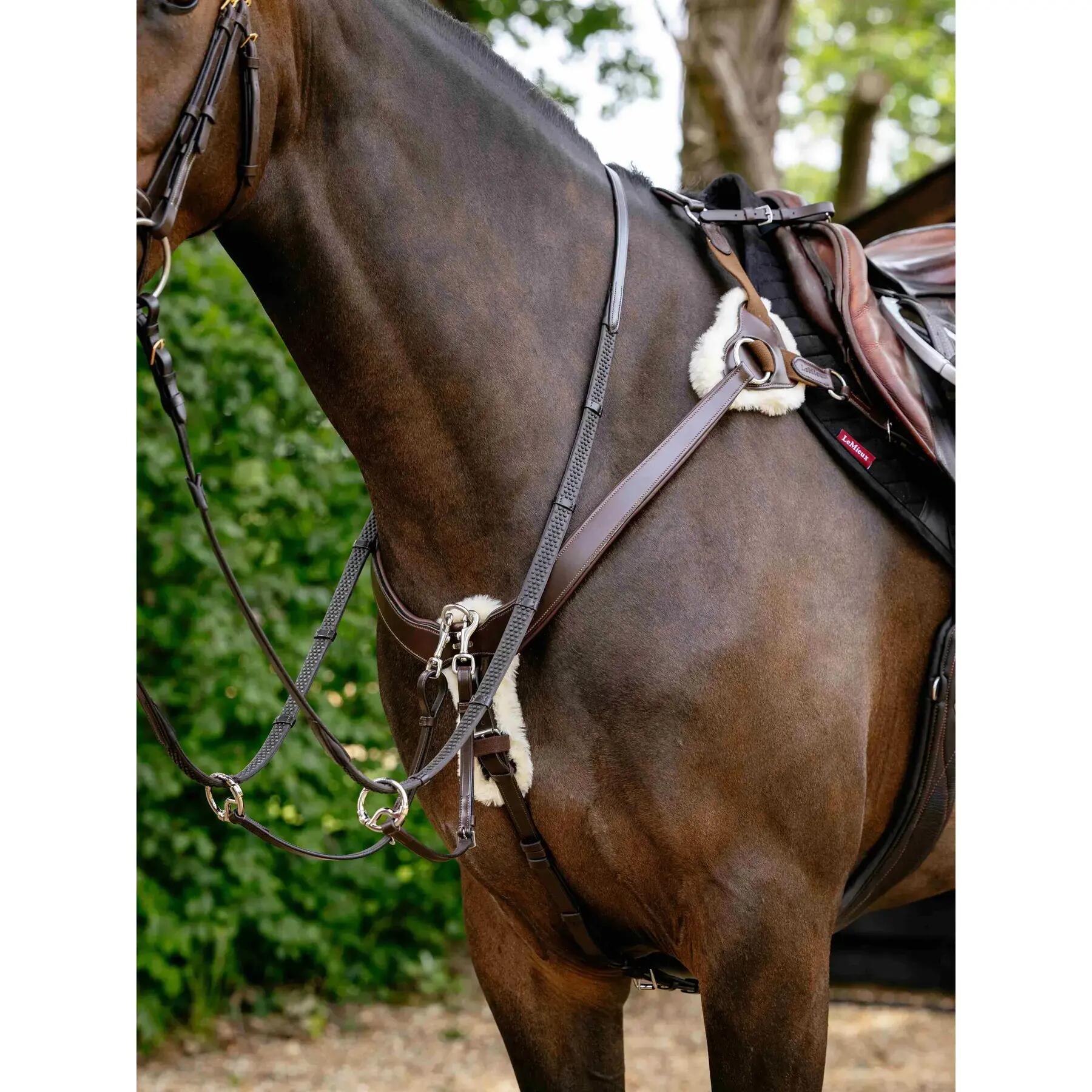 Jachthalsband voor paarden LeMieux 2/7