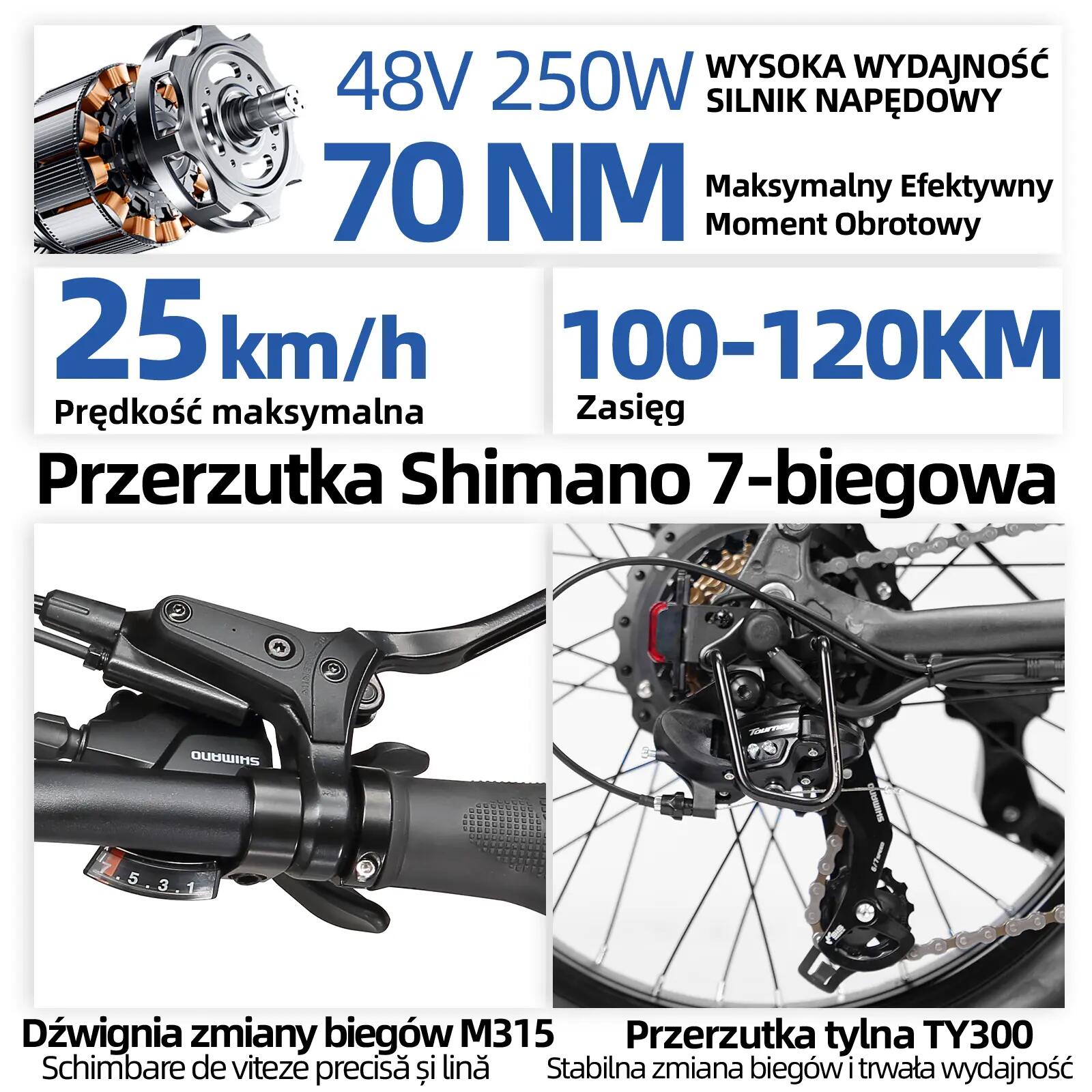 Rower elektryczny TTGO F7 (dorosły), silnik 250W, bateria 48V 15Ah 8/15