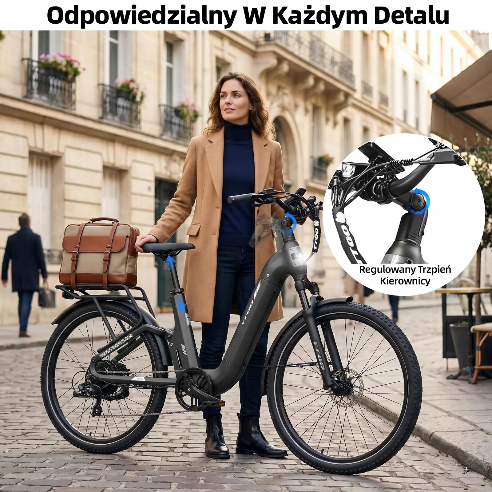 Rower elektryczny TTGO E-SUVO (dorosły), silnik 250W, bateria 48V 15Ah 9/15