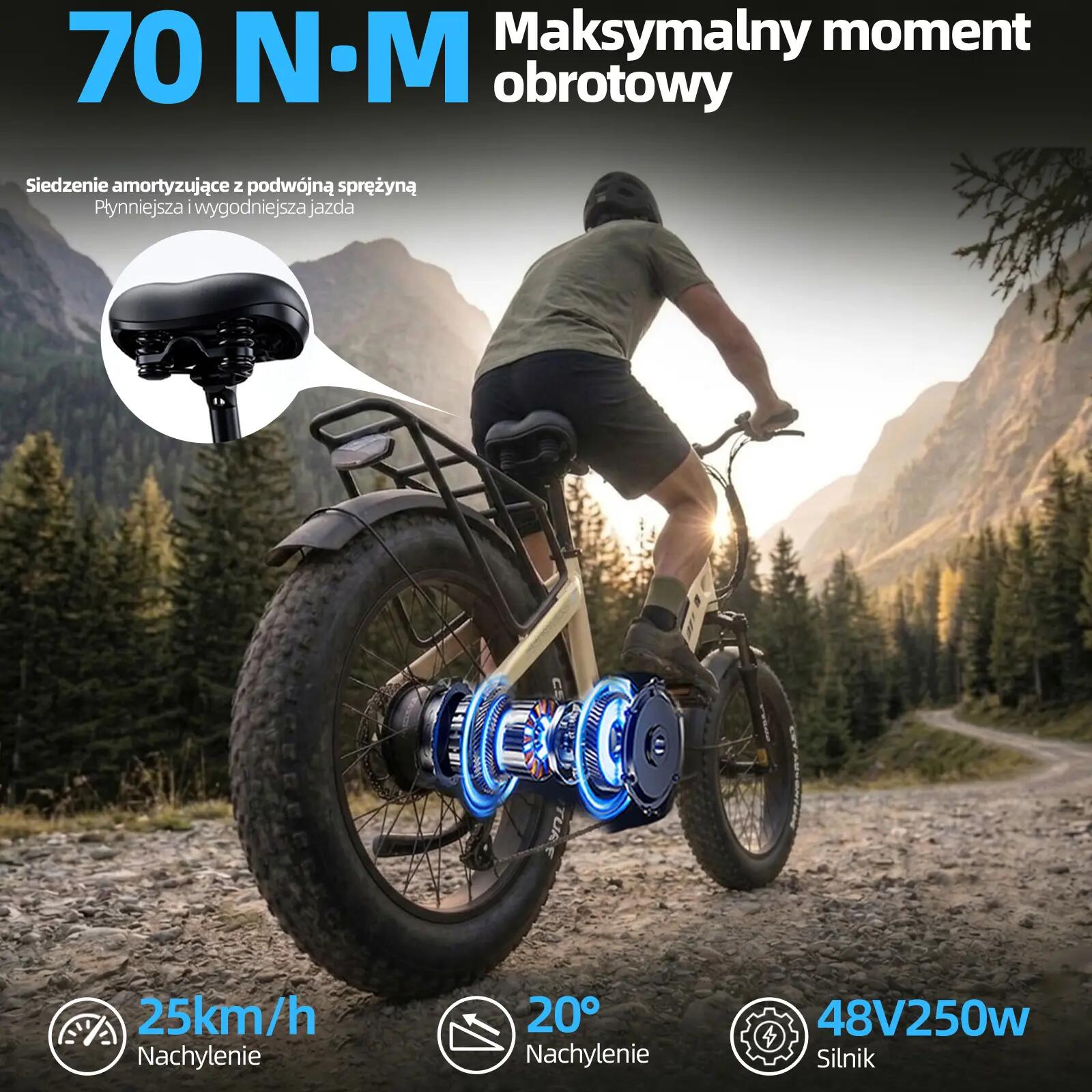 Rower elektryczny TTGO F6 Boost (dorosły), silnik 250W, bateria 48V 18Ah 12/15