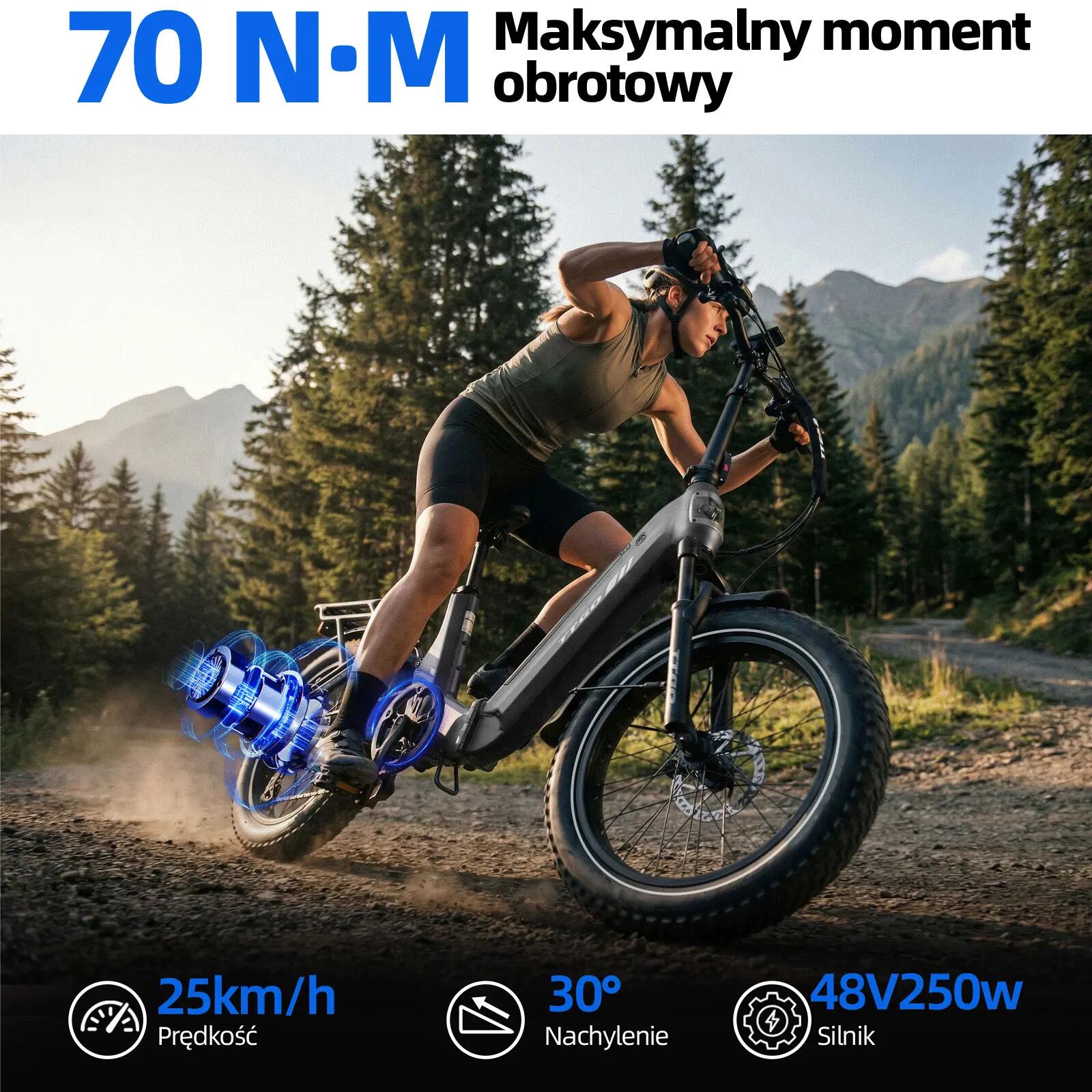 Rower elektryczny TTGO F7 (dorosły), silnik 250W, bateria 48V 15Ah 5/15