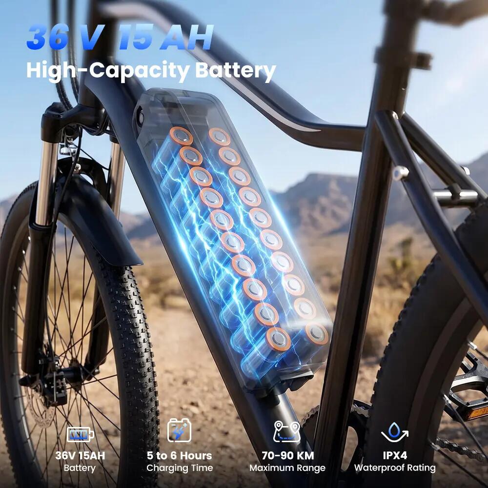 Elektrische stadsfiets iScooter EB3S 350W 540Wh 26-inch 6/10