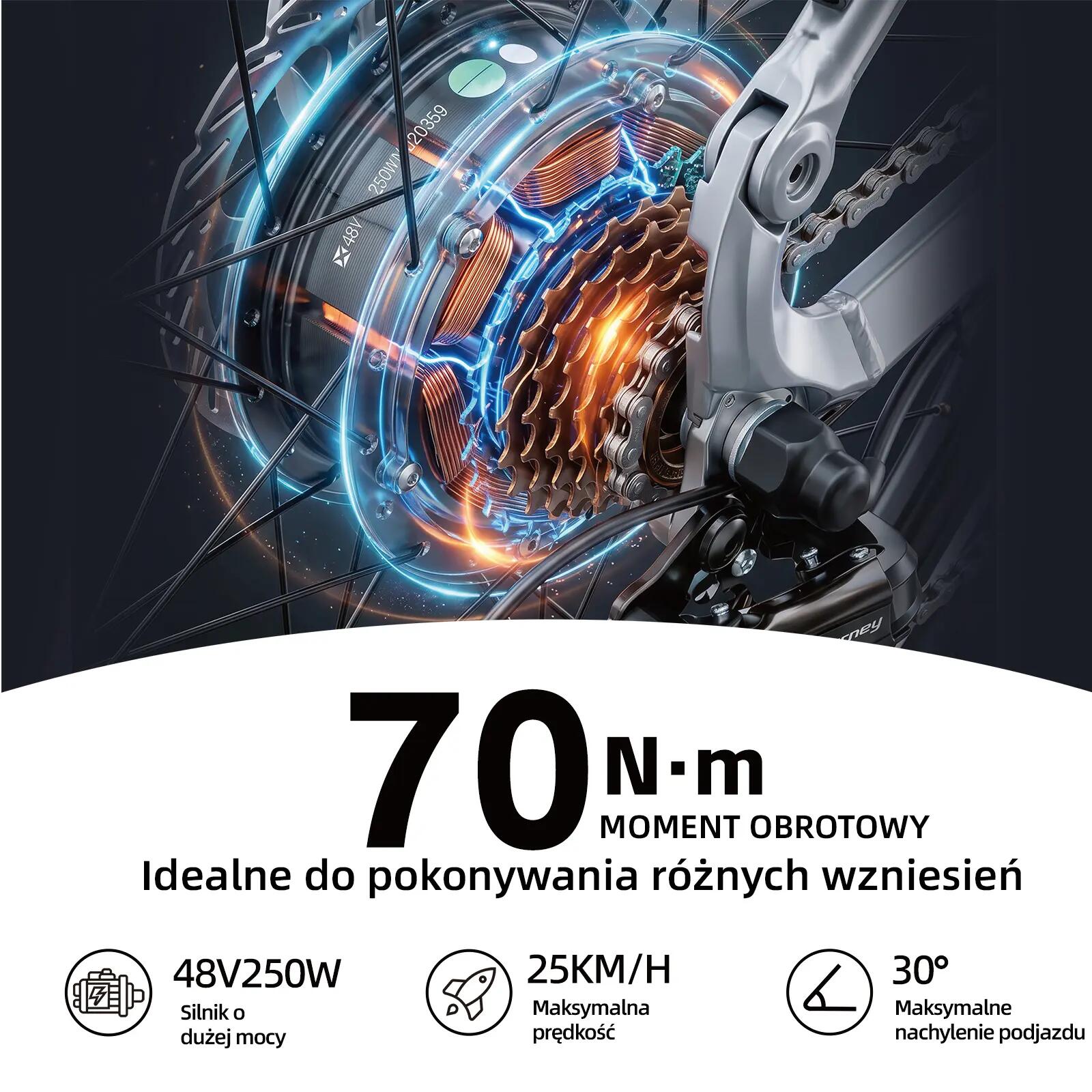 Rower elektryczny TTGO E-SUVO (dorosły), silnik 250W, bateria 48V 15Ah 11/15