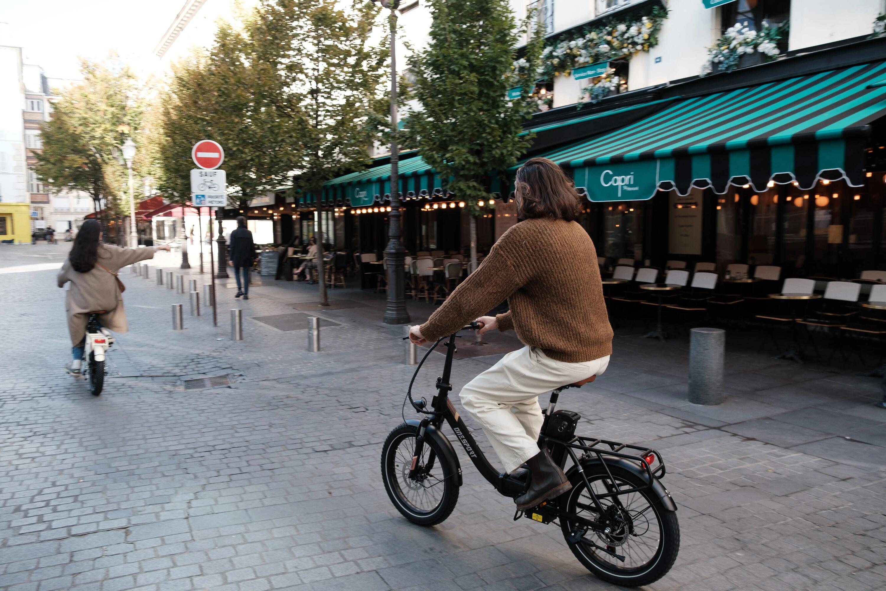 Bicicletta a pedalata assistita per adulti OT16 Pro, pneumatici 20", 48V17Ah 13/15