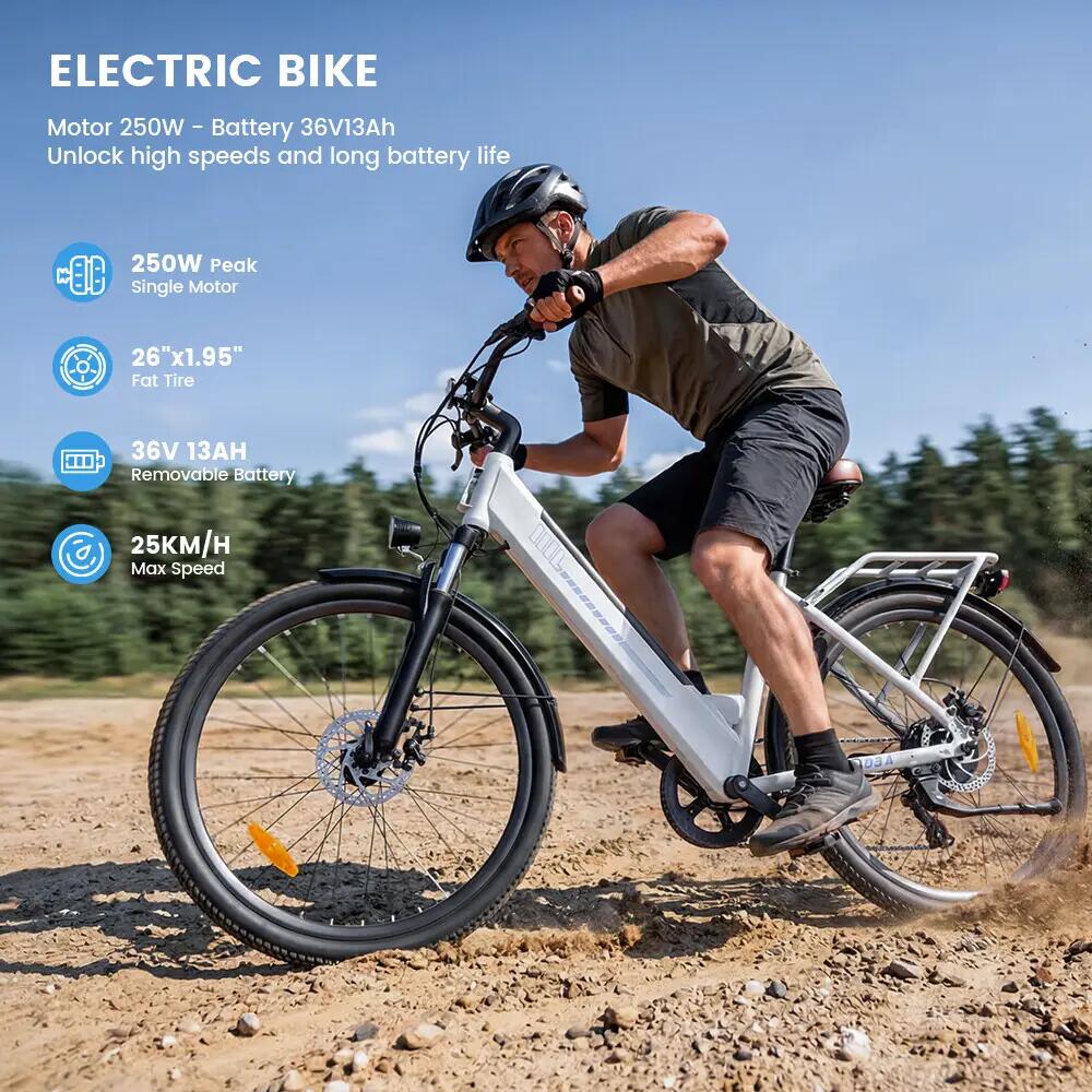 Elektrische stadsfiets iScooter UcityS 250W 468Wh 26-inch 10/13