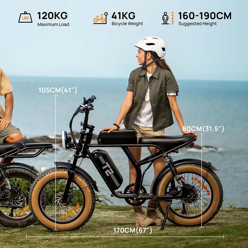 Bicicleta elétrica URLIFE T2, bateria 48V 15,6Ah, pneus largos de 20 polegadas 12/12