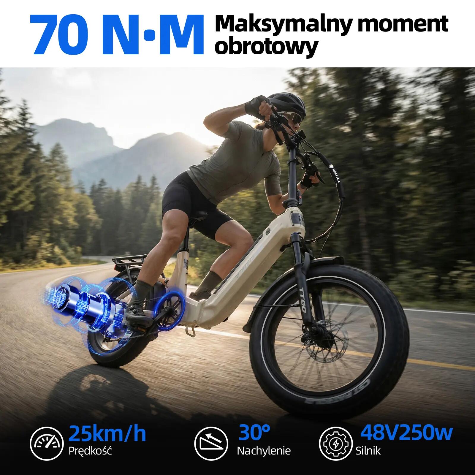 Rower elektryczny TTGO F7 (dorosły), silnik 250W, bateria 48V 15Ah 8/15