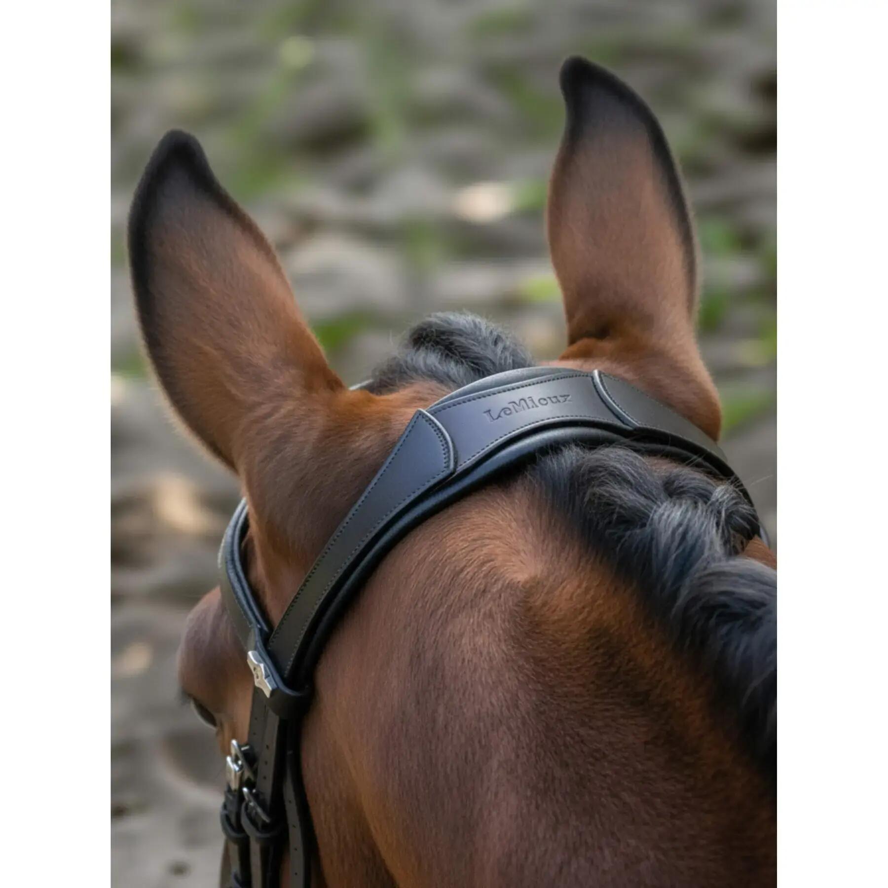 Bridons ruiterij voor dressuurpaard LeMieux 2/2