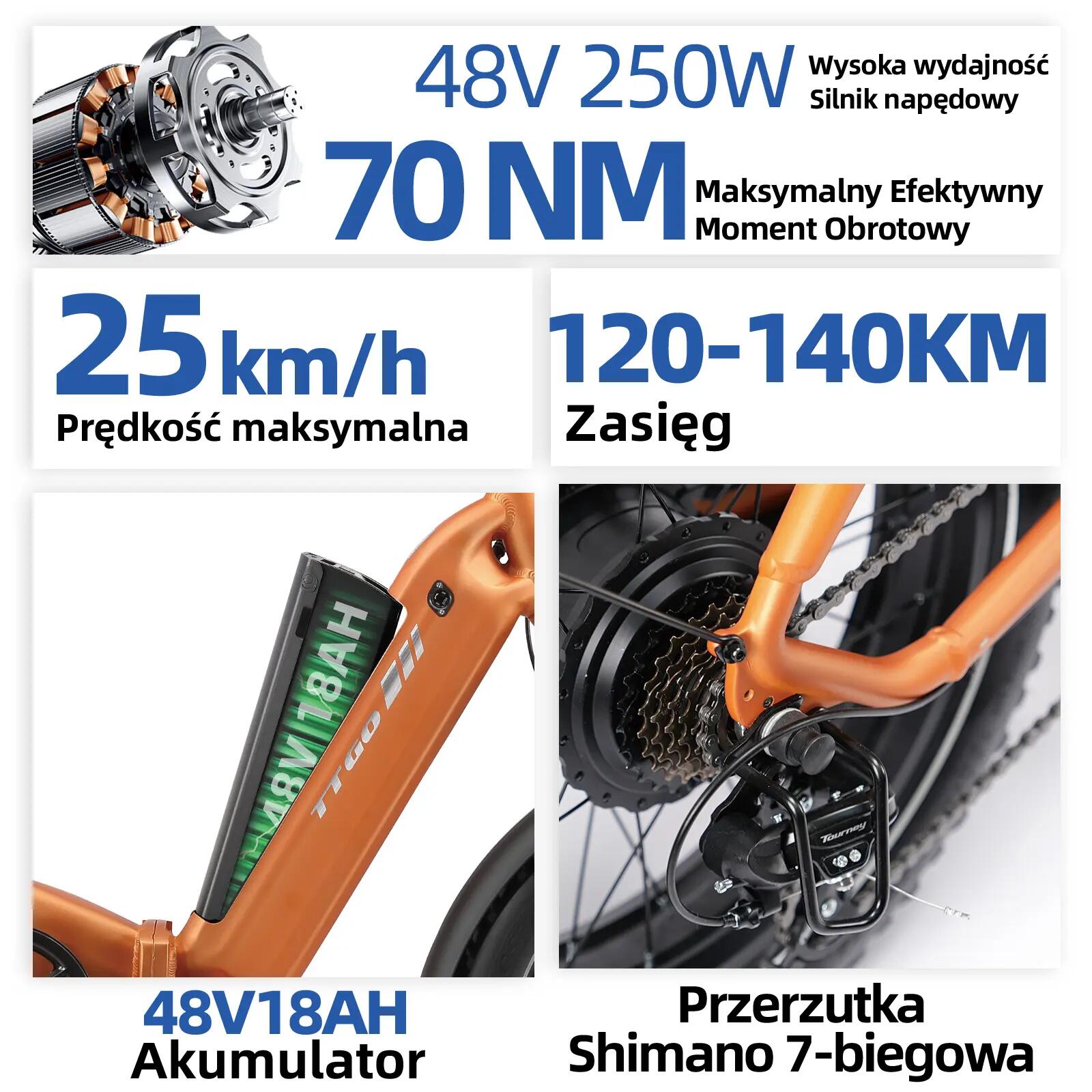 Rower elektryczny dla dorosłych F6Boost, opony 20"×4,0", akumulator 48V 18Ah. 5/12