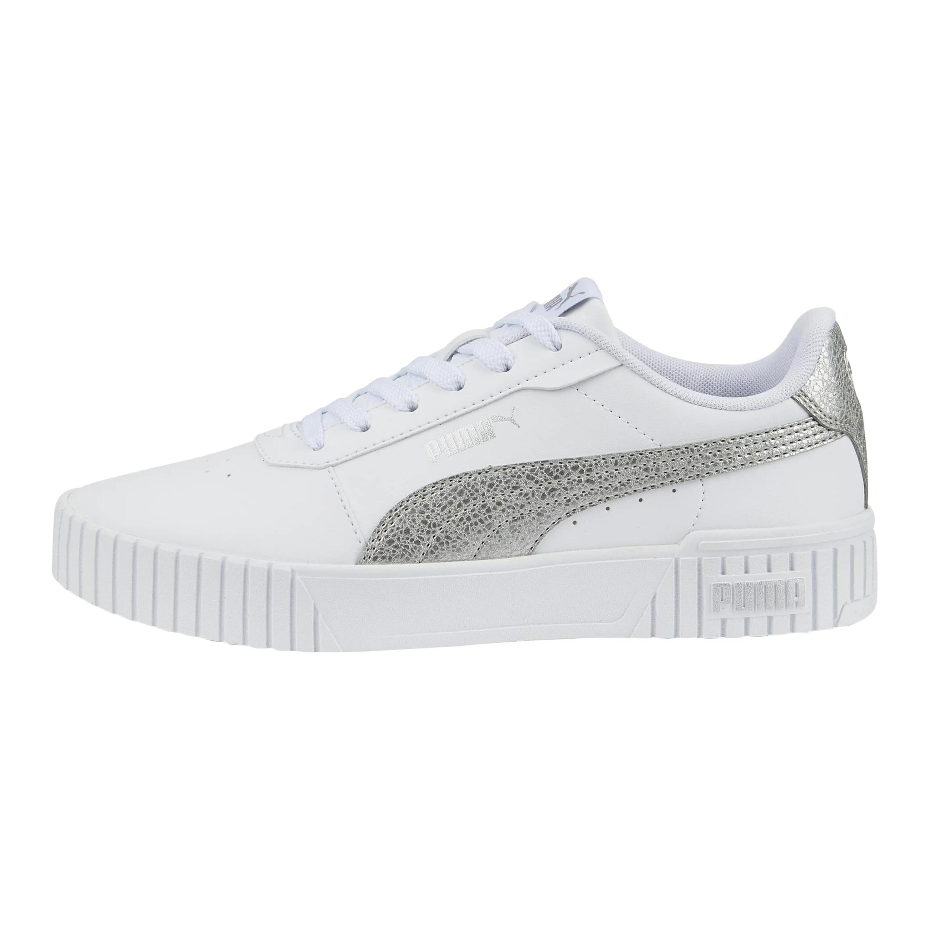 PUMA picture
