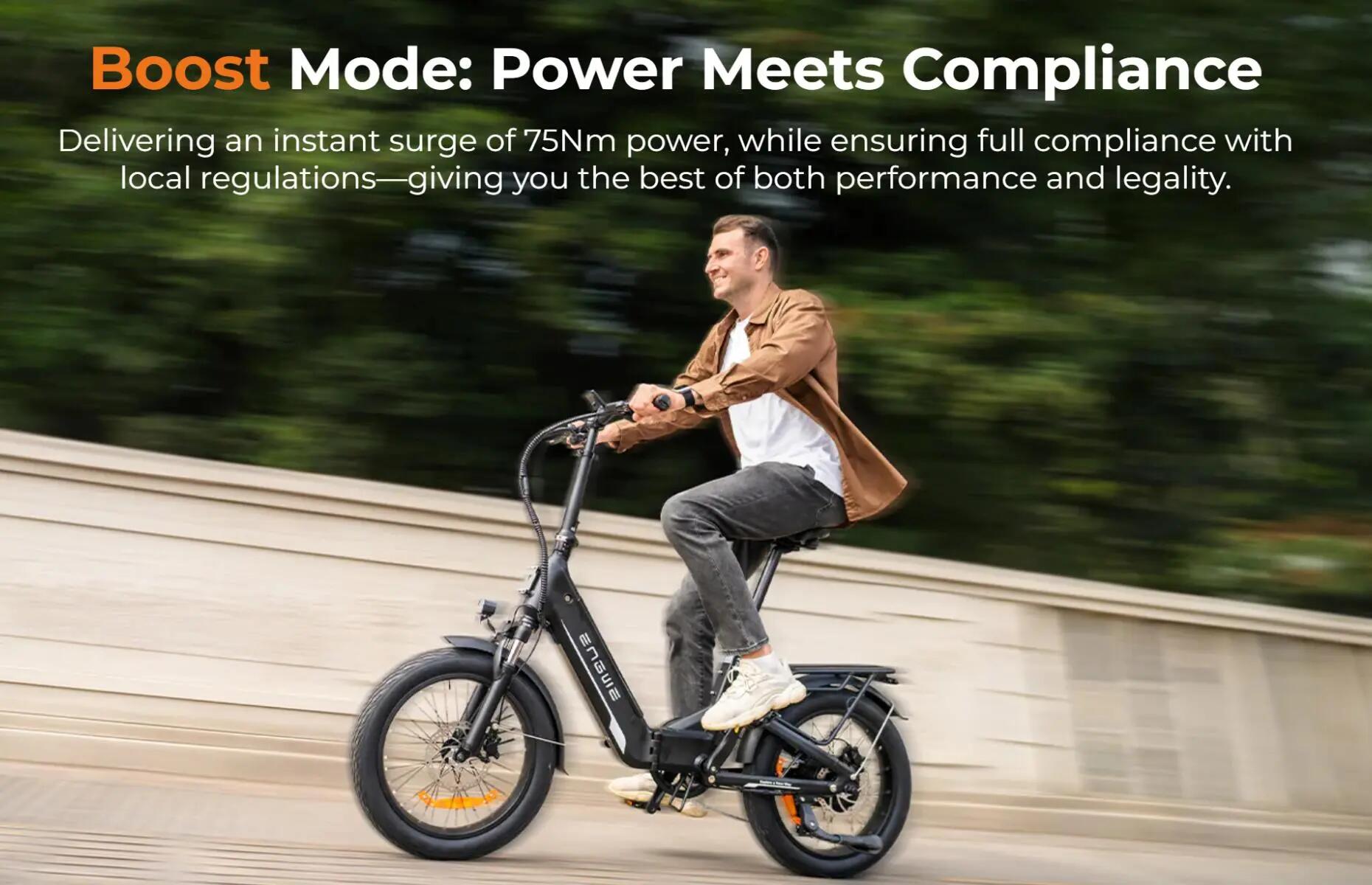 ENGWE L20 3.0 BOOST Elektrische fiets voor volwassenen, snelladen, brede banden 12/15