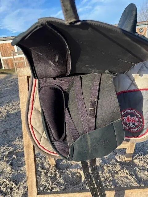 Entre Particuliers - Selle de dressage Wintec Isabelle Werth 17,5" 6/7
