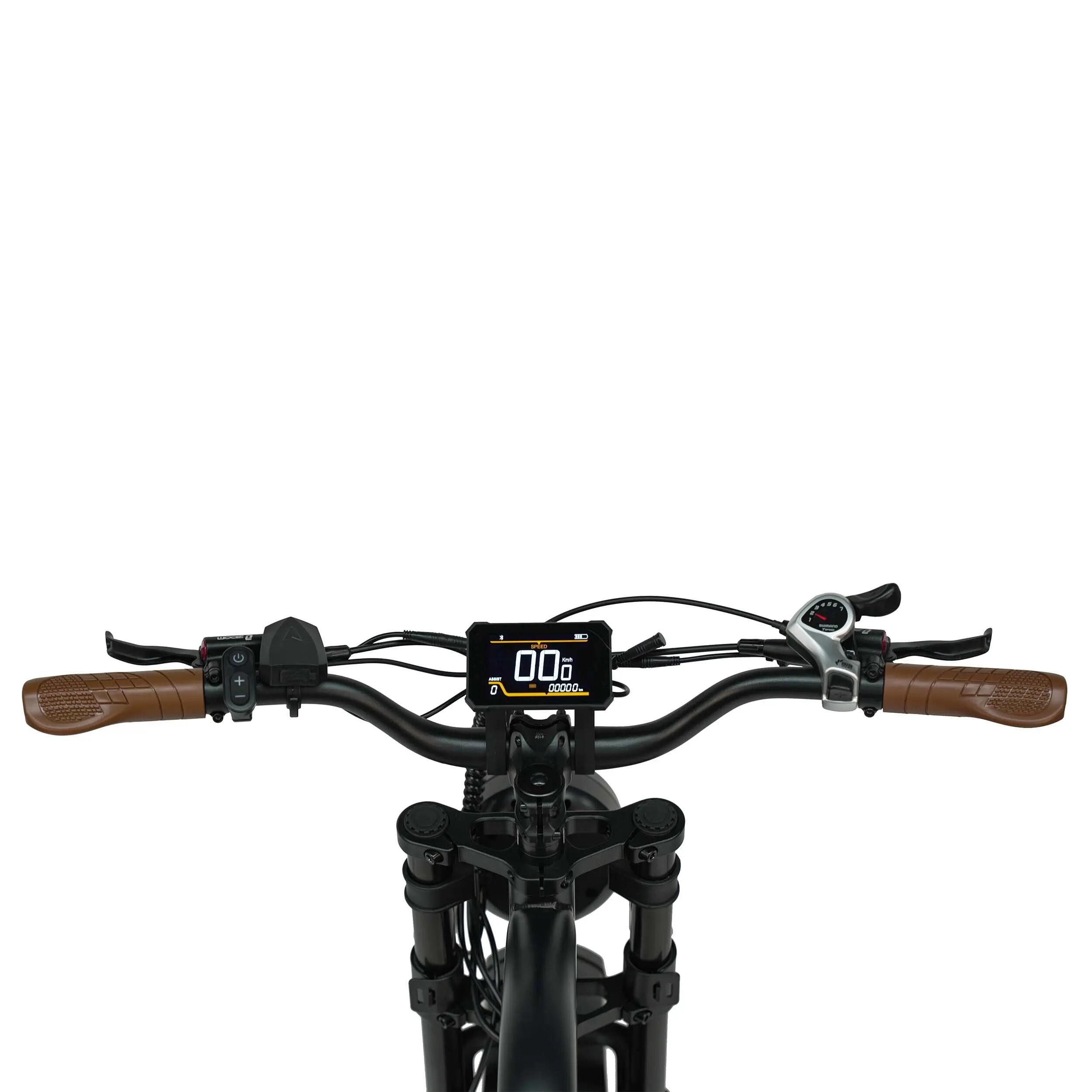 MX10 Elektrische Fiets Volledig Geveerd 48V 250W 20×4 Fatbike 65 Nm 4/5