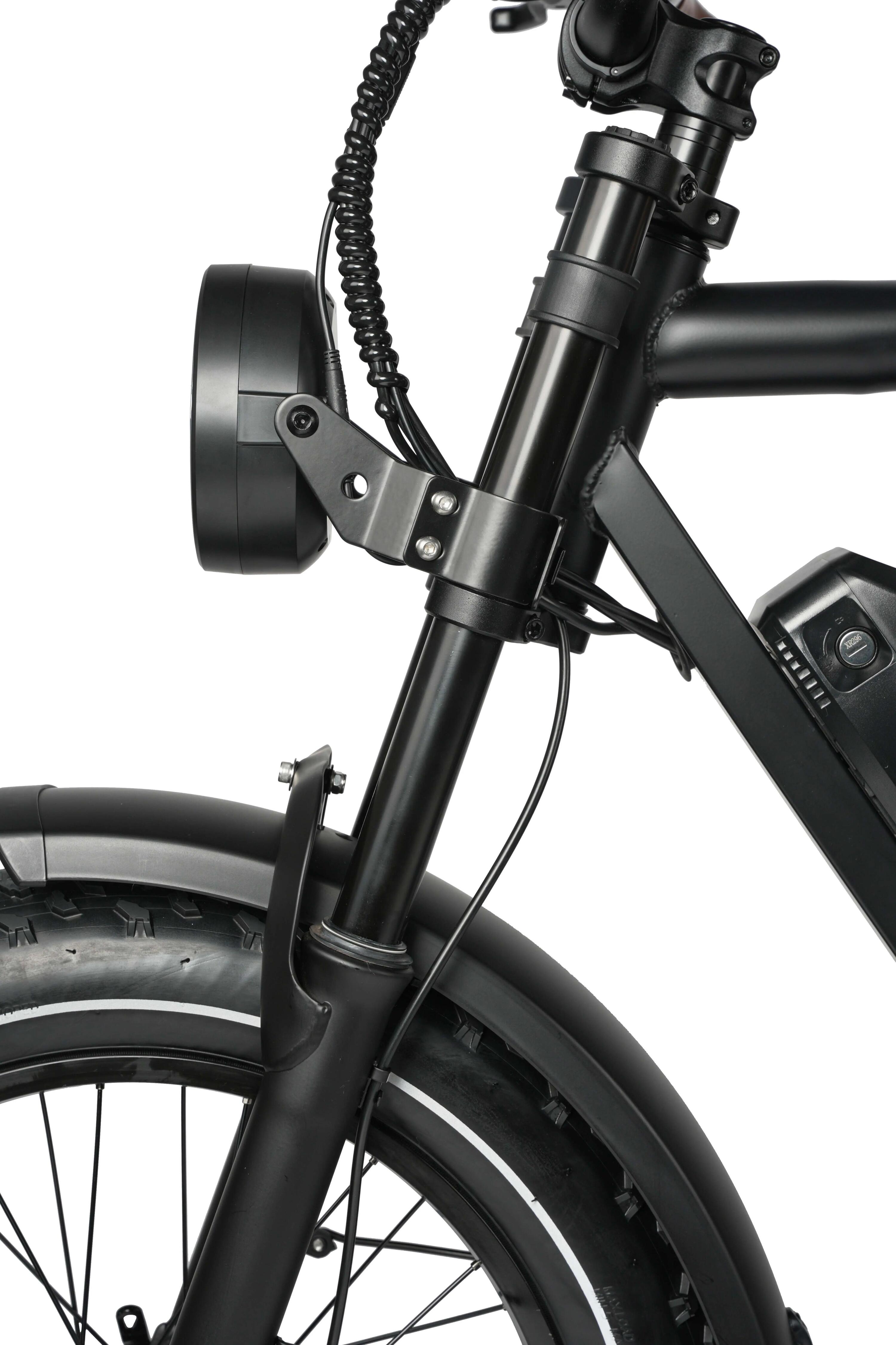 MX10 Elektrische Fiets Volledig Geveerd 48V 250W 20×4 Fatbike 65 Nm 3/5