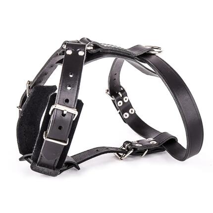Harnais pour chien en cuir Martin Sellier