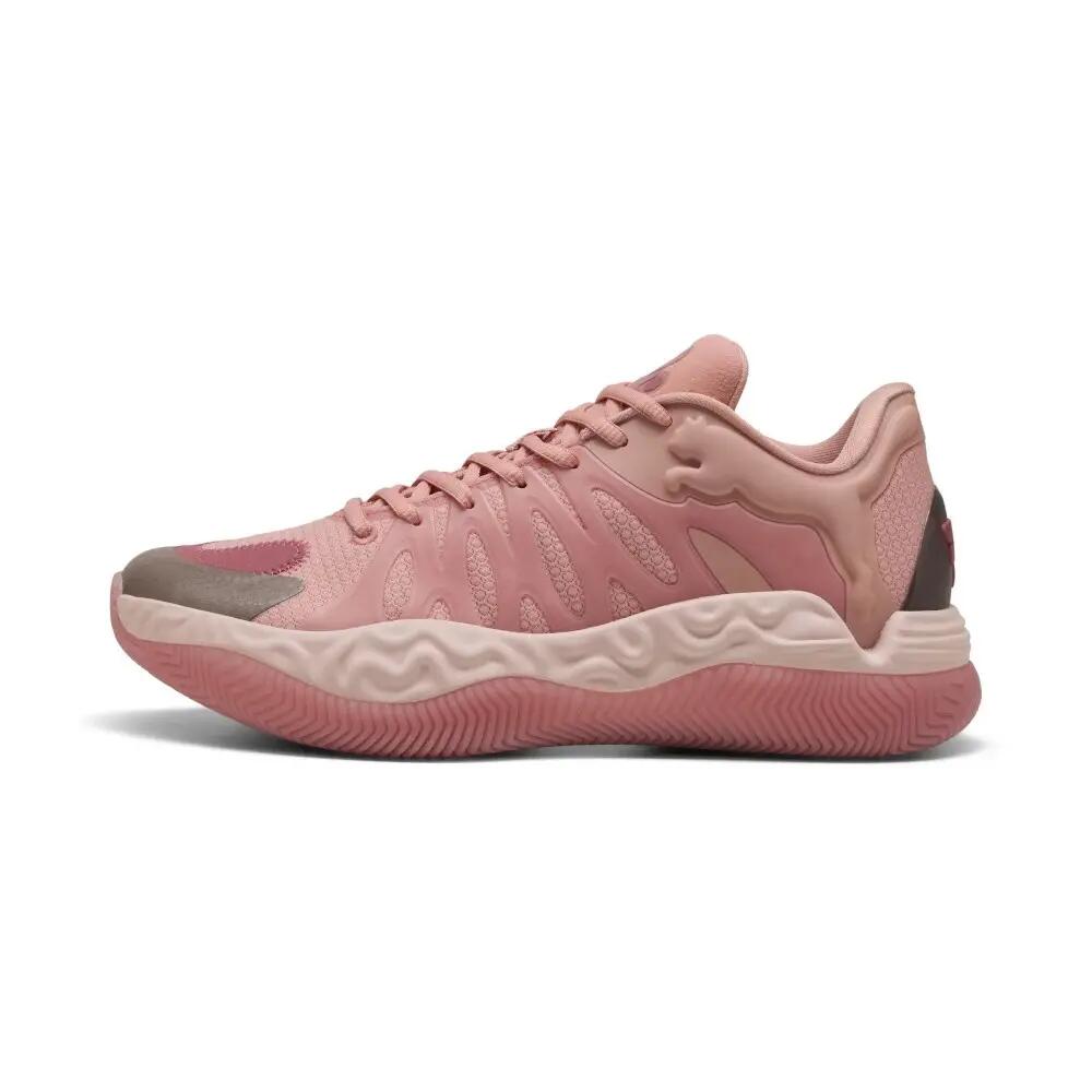 PUMA picture