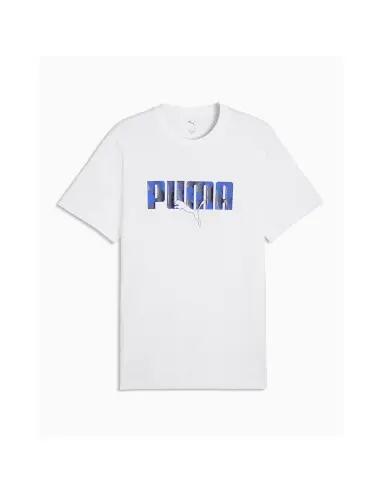 PUMA picture