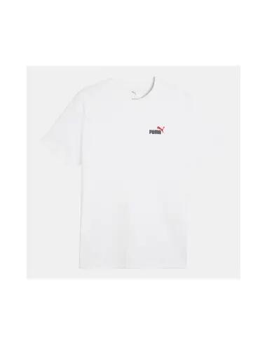 PUMA picture