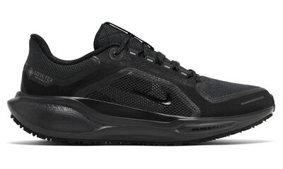 Nike Pegasus 41 GORE-TEX nere