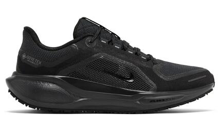 Męskie buty do biegania wodoodporny PEGASUS 41 GORE-TEX WOMEN