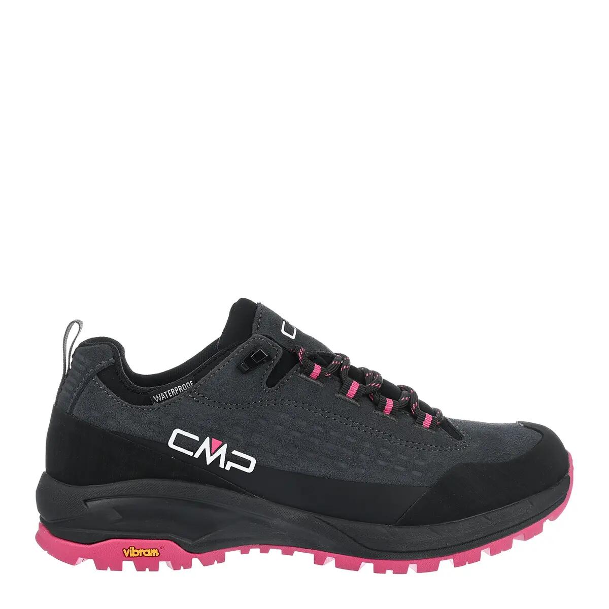 CMP picture