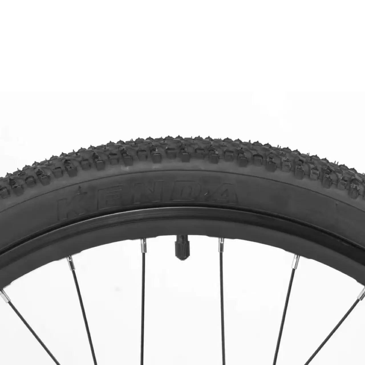 Darwin Kinder-Mountainbike 24 Zoll Alu 9-Gang Federgabel 2/6