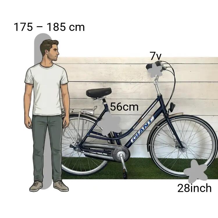 Bicicletta usata Giant Brisbane 2/4