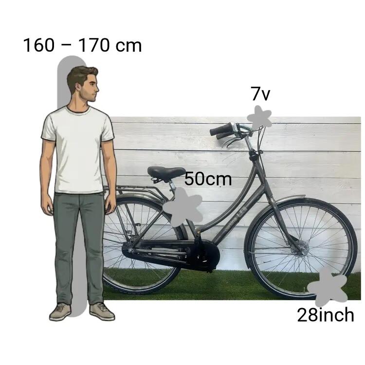 Bicicletta usata Cortina U4 2/4
