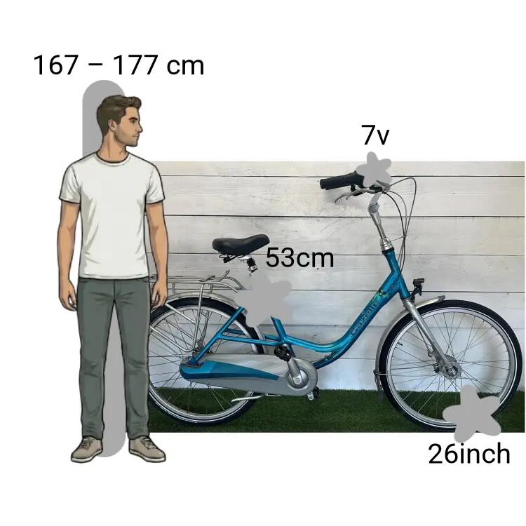 Bicicletta usata Gazelle Bloom Moederfiets 2/4