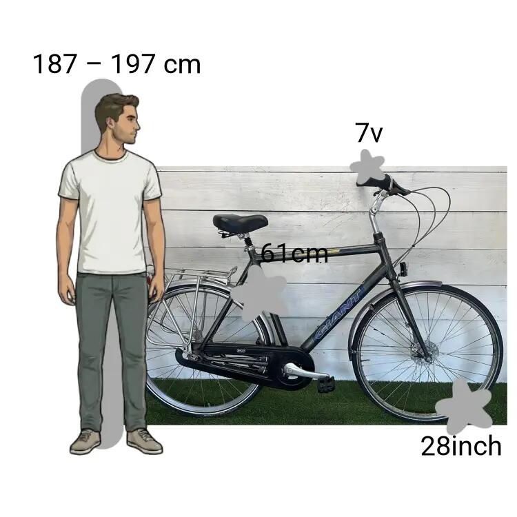 Bicicleta usada Giant Adelaide 2/4