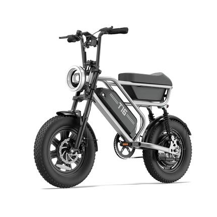 T16 Elektrofahrrad : 48V 13Ah Akku 16×3,0 Zoll Geländereifen