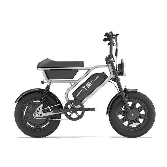 Volwassen e-bike URLIFE T16 250W volledige vering demping