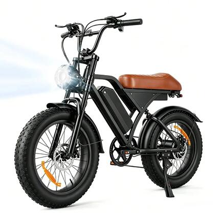 iScooter EB5 Max elektrische fiets met 48V 15,6Ah accu en dubbele vering
