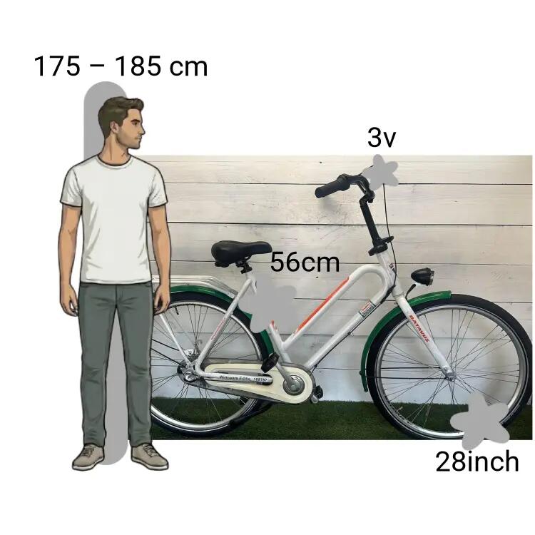 Tweedehands Batavus Postcode 2/4