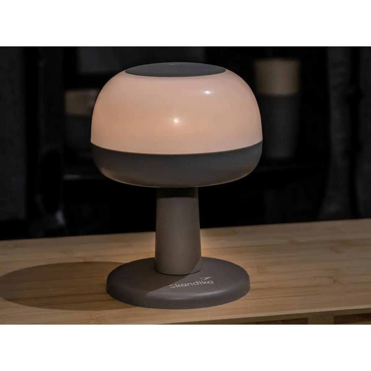 Lampe de camping Elva - Modèle 2-en-1 - Lampe de table - Lampe suspendue 7/13