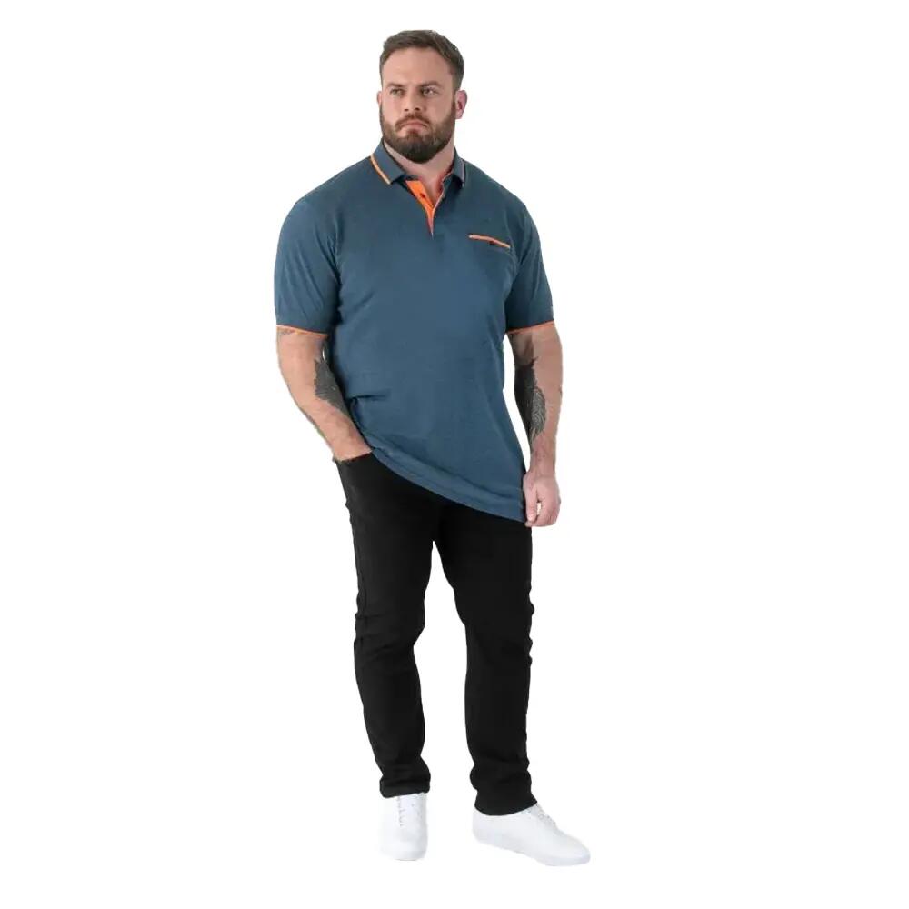 Polo Manches Courtes Taille Grand HARVEY Homme (Bleu Sarcelle) 5/5