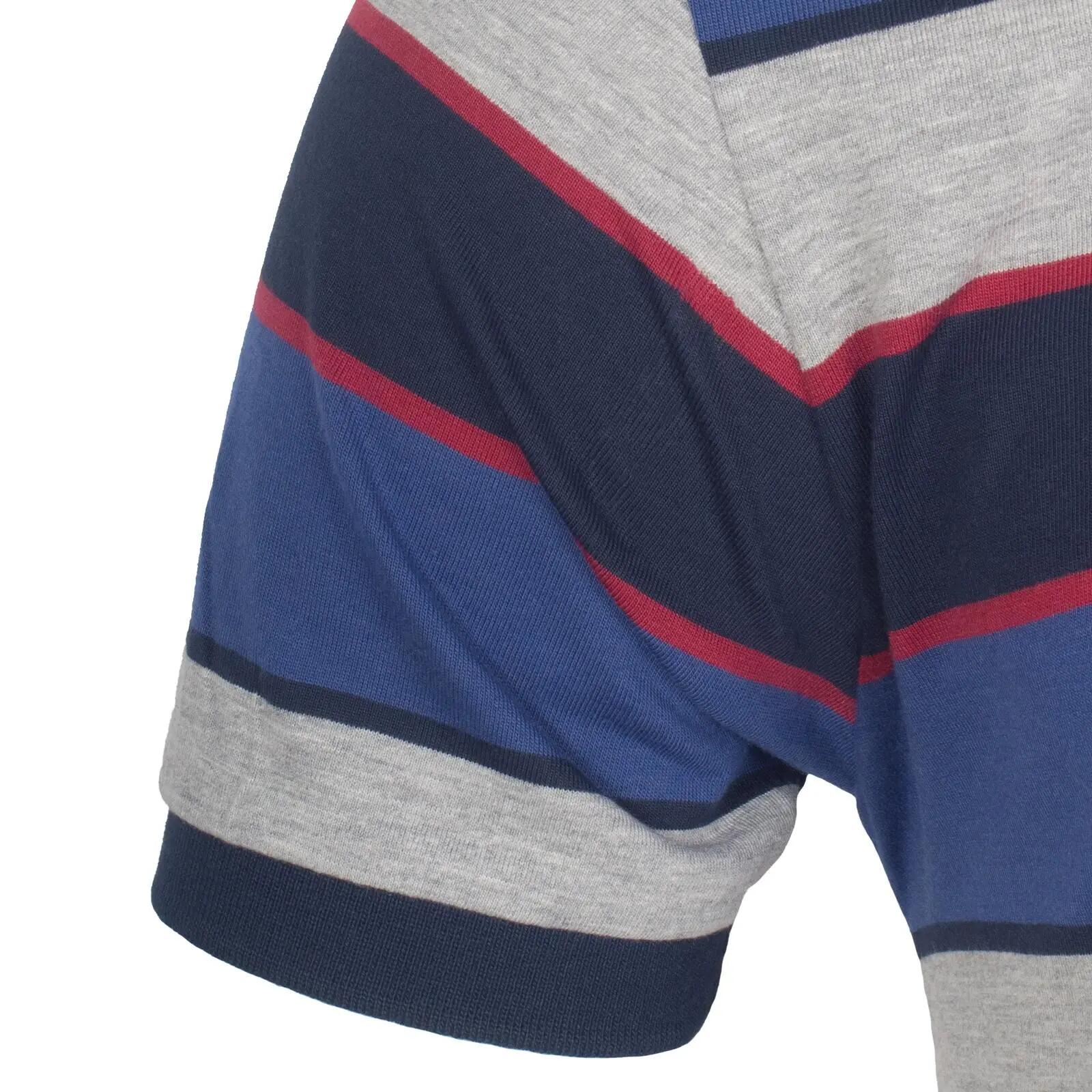 Polo Motif/style Rayé Homme (Bleu) 5/6