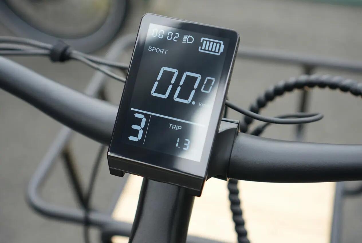 E-Cargo Bike Longtail Erwachsene urban 75Nm 24" 120km DAY CARGO 3 Schwarz 12/15