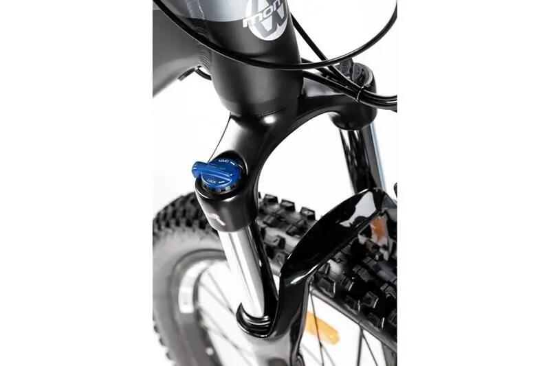 E-MTB 29" Elektrische Semi stijve mountainbike 8/11