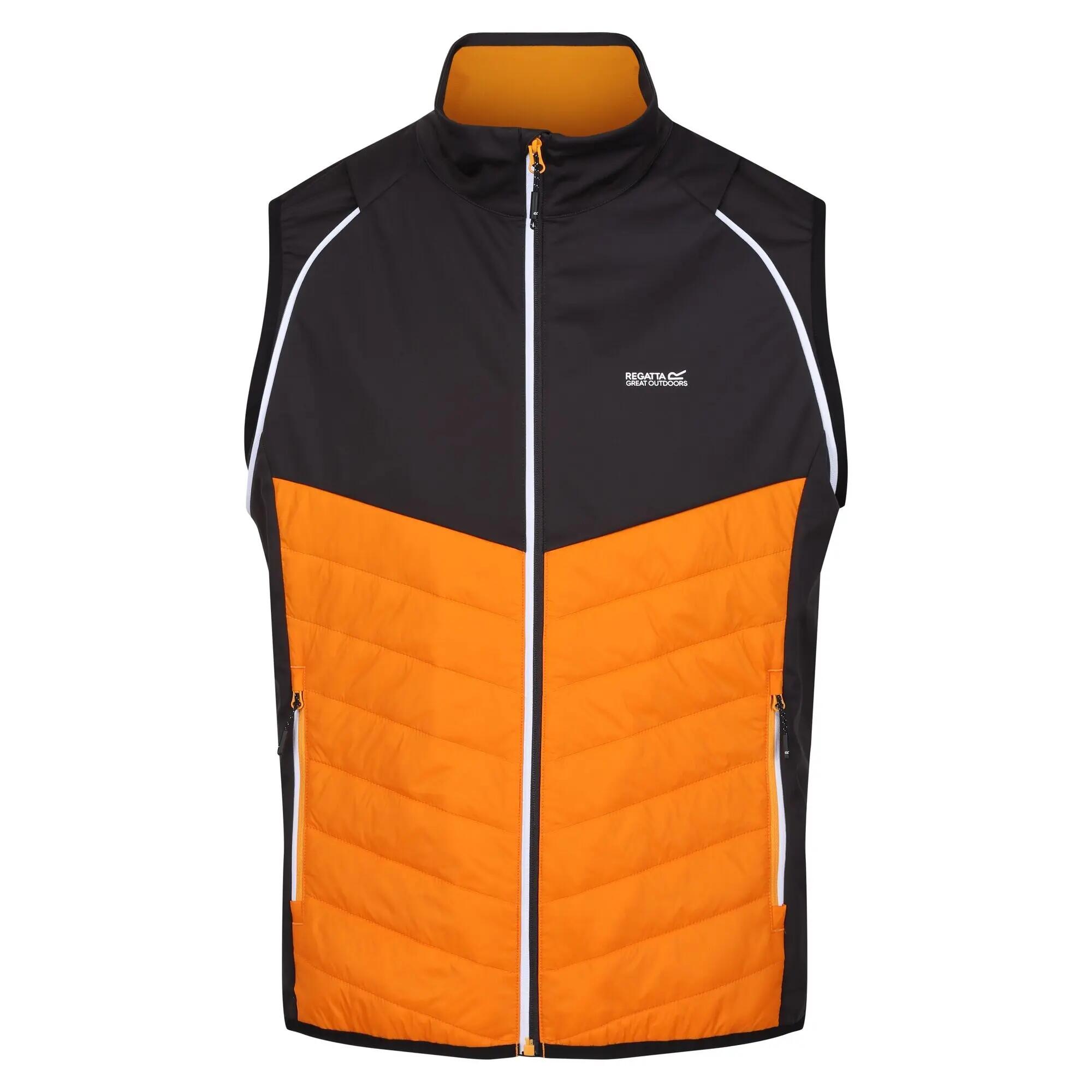 Giacca Soft Shell Uomo Regatta Steren Hybrid Pepe Arancione Cenere 7/7