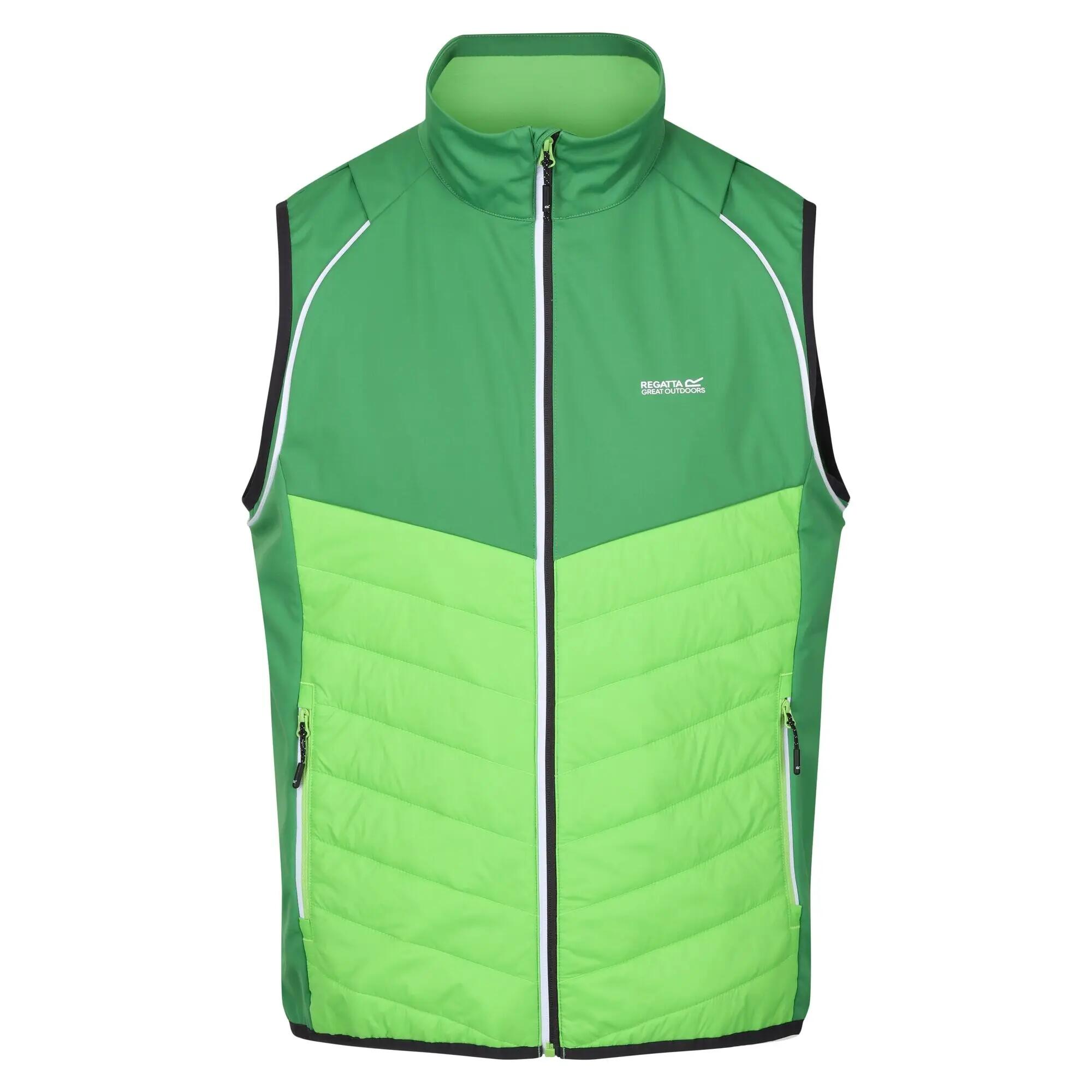 Giacca Soft Shell Uomo Regatta Steren Hybrid Campo Verde Verde Gelsomino 7/7