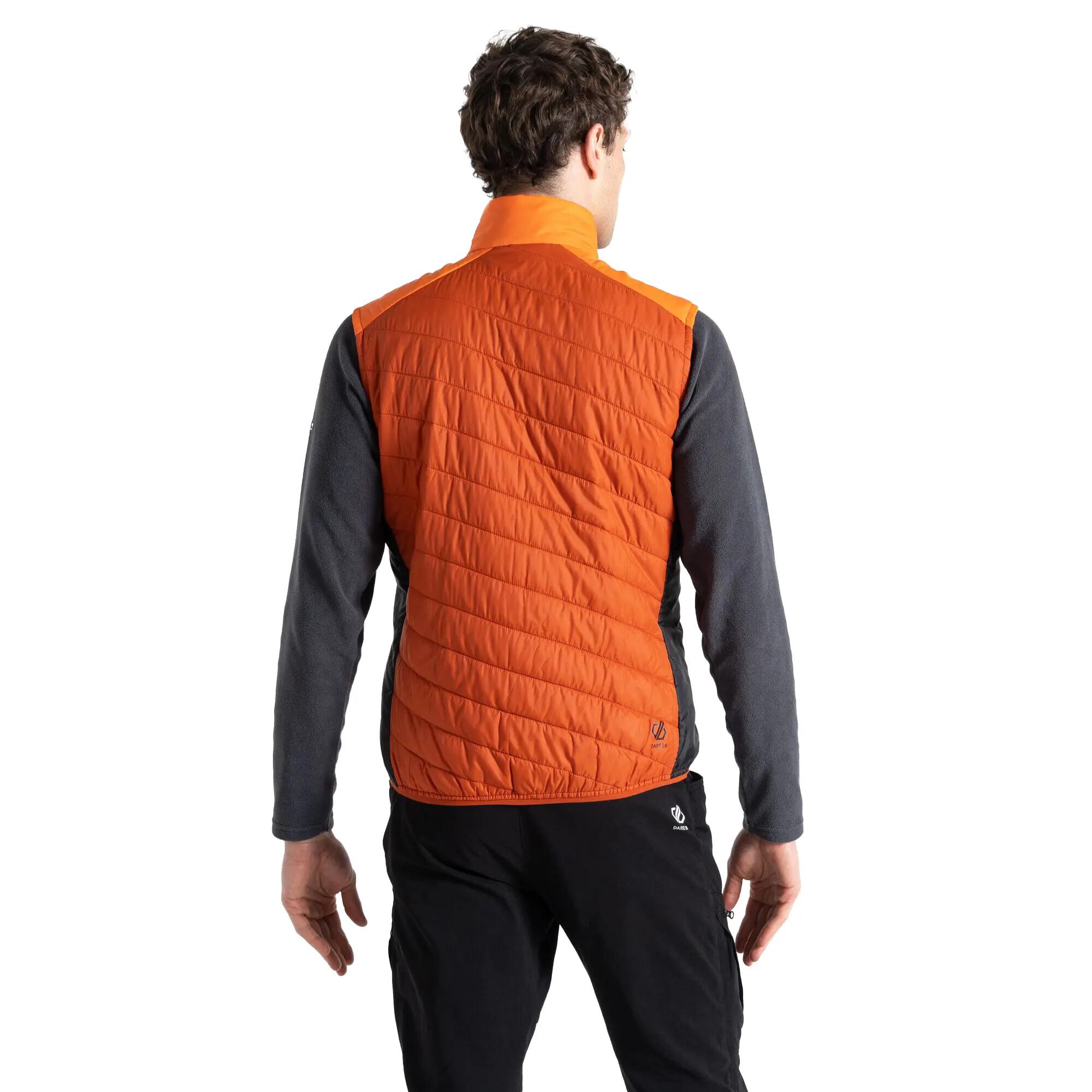 Gilet Trapuntato Leggera Uomo Dare 2B Touring Puffini Arancioni Tè Rooibos 6/6