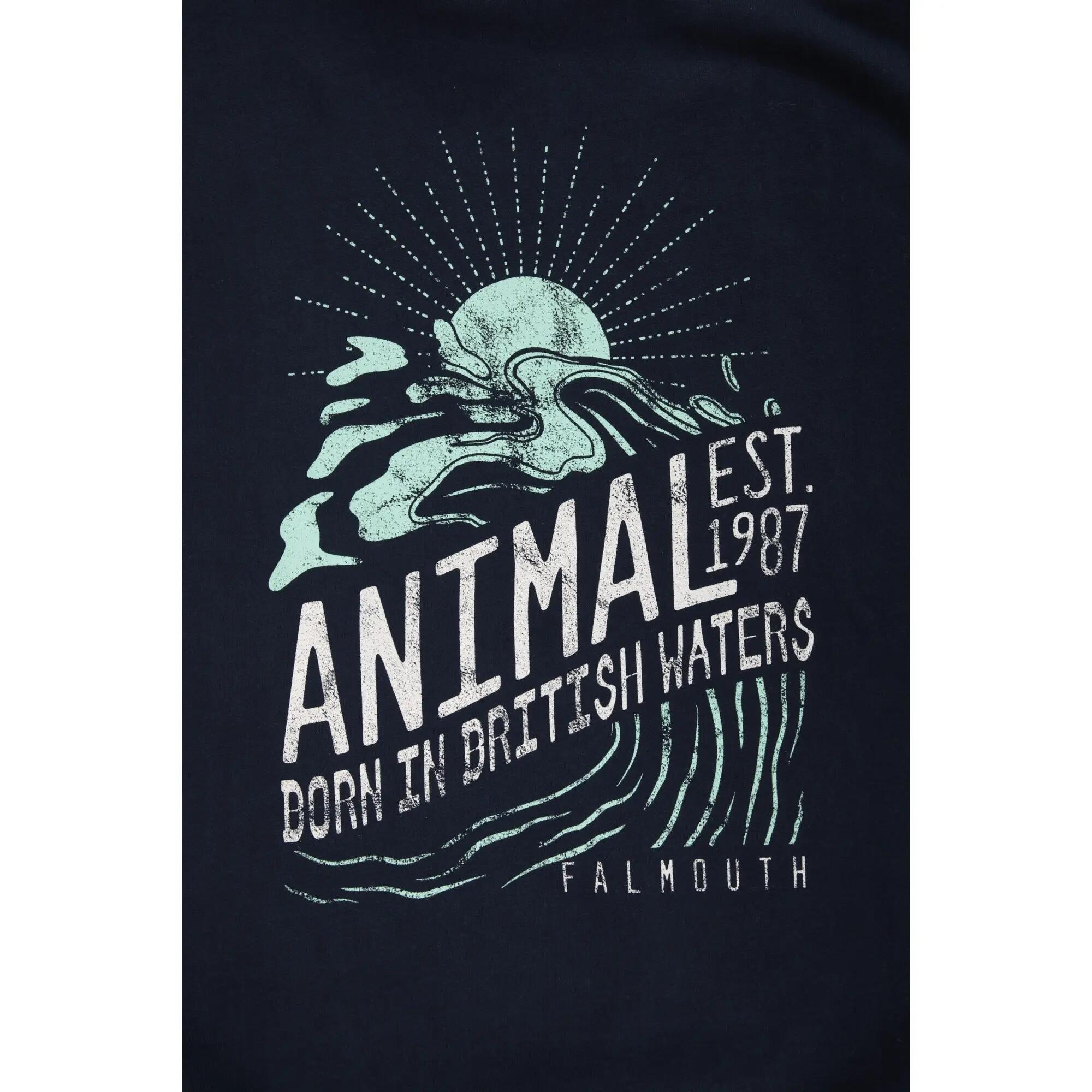 "Jonah Falmouth" Sweatshirt für Herren Marine 5/5