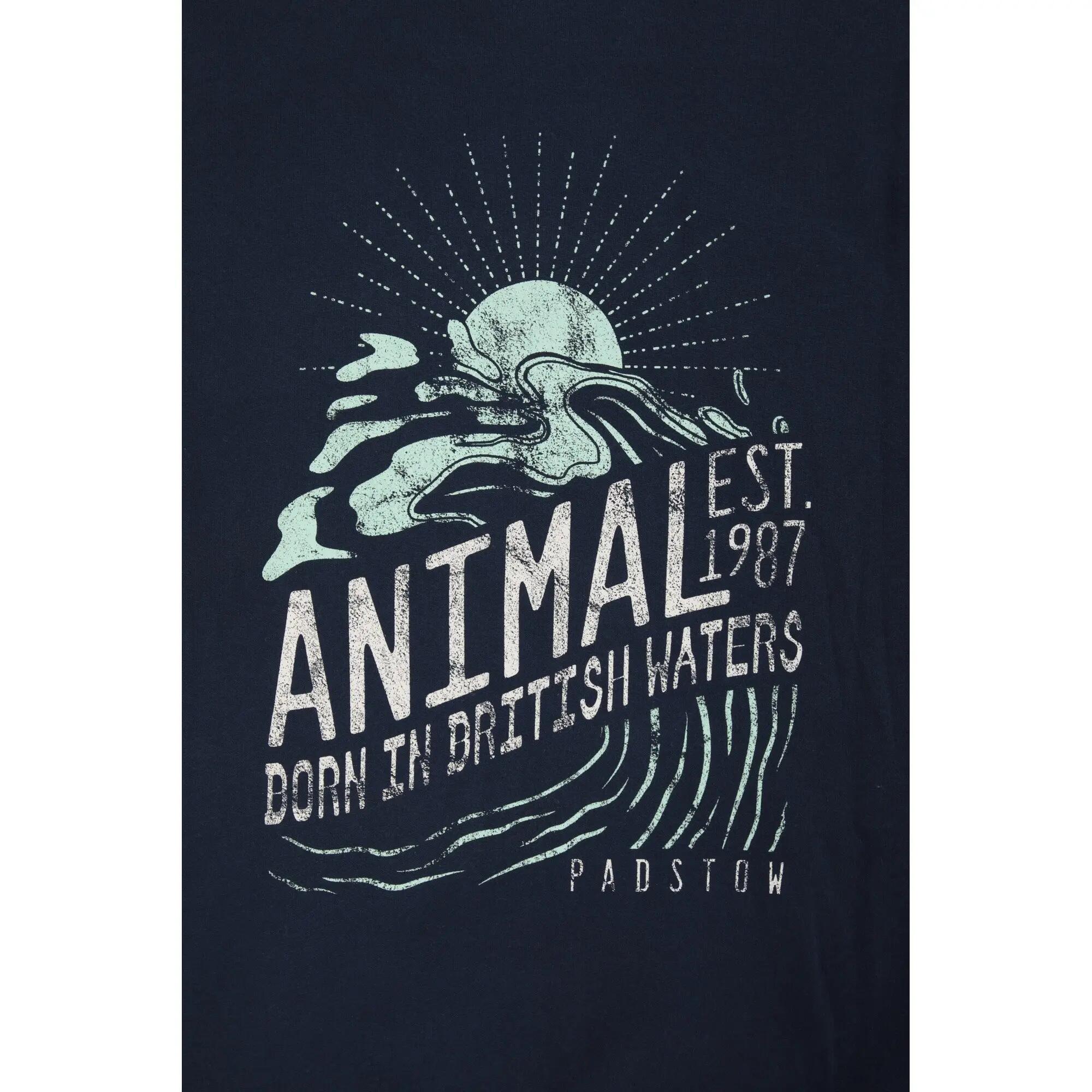 "Jonah Padstow" Sweatshirt für Herren Marine 5/5